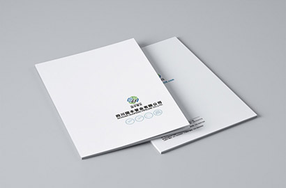 龙马潭区画册设计：以纸为媒，镌刻城市的精神图腾