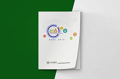 龙马潭区画册设计：以场景为媒，打造城市体验的全新入口